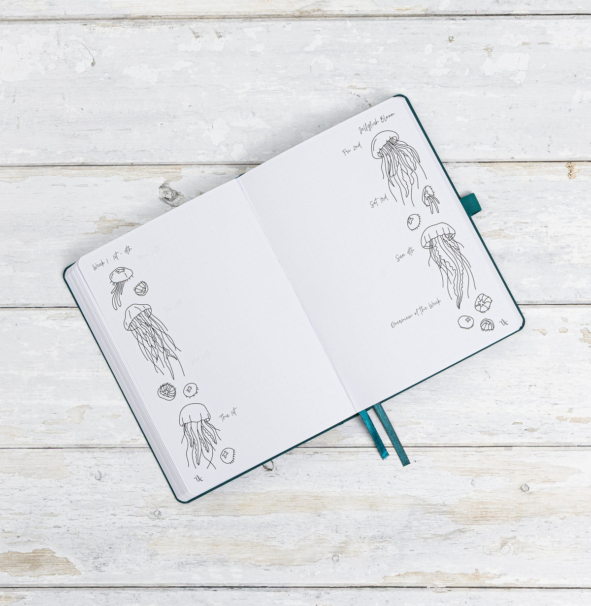 2027 Pre Made Journal